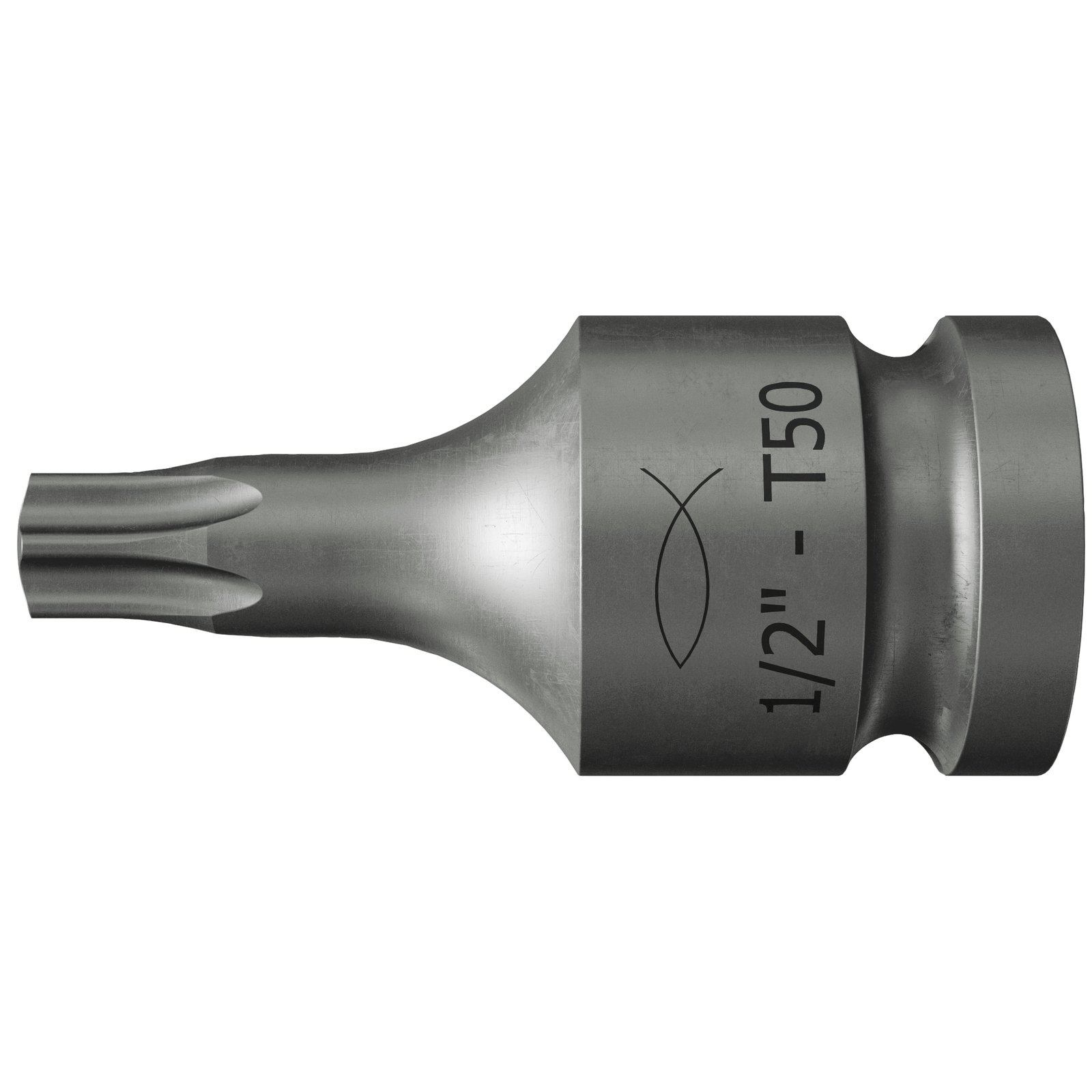fischer Stecknuss TX
